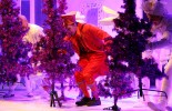 Winter Circus Wonderland